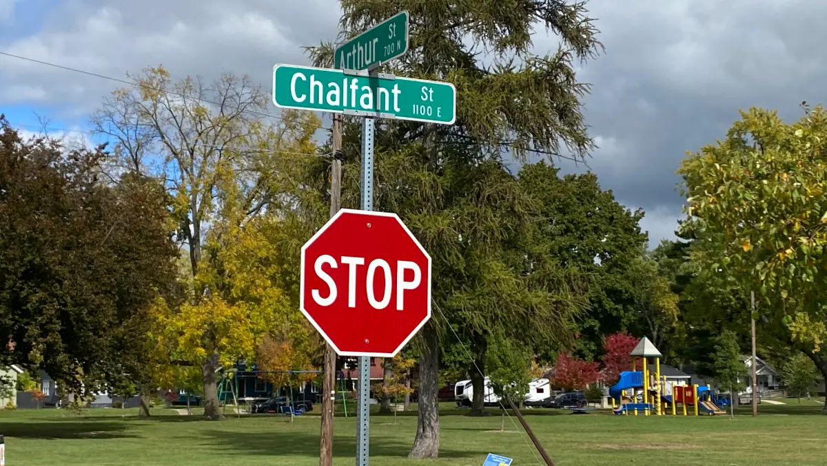 Photograph shows Chalfant Street sign.