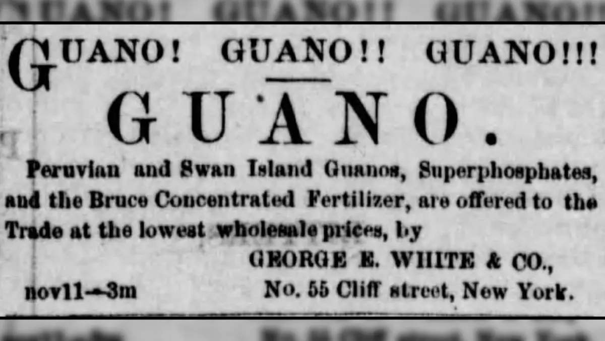 Newspaper advertises Peruvian and Swan Island Guanos