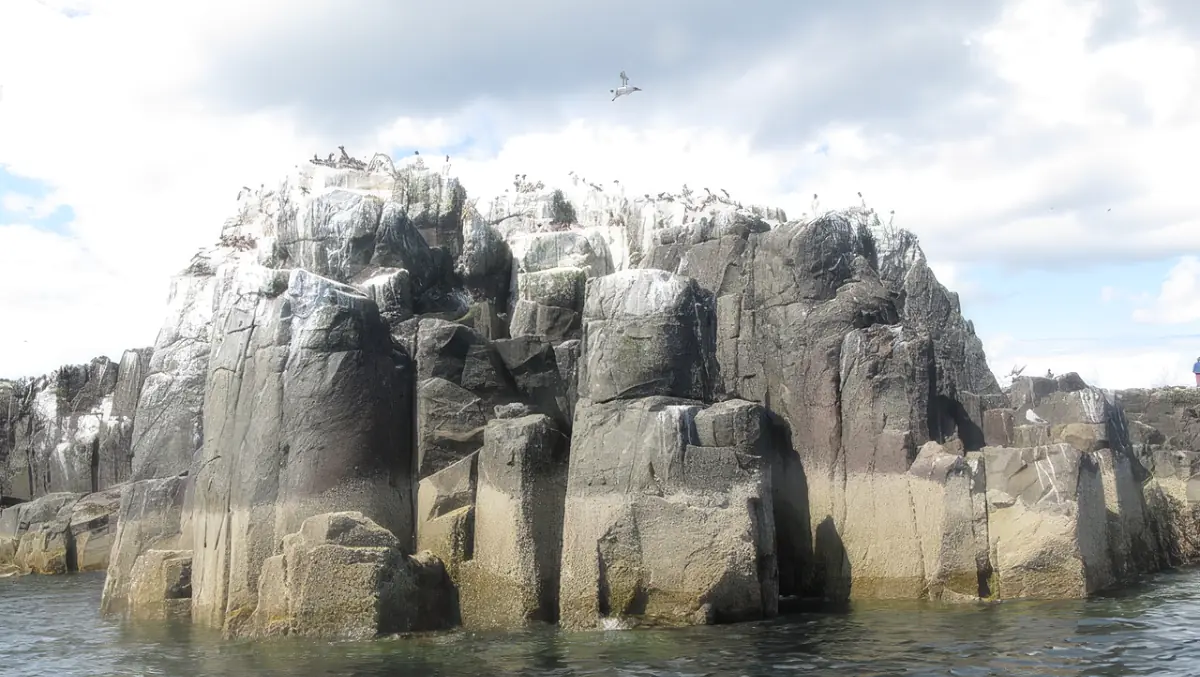 Photograph of guano-covered rocks